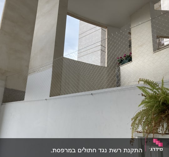 רשת מתכת מותקנת למניעת כניסת יונים